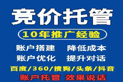 某电商平台的SEM专员营销策略